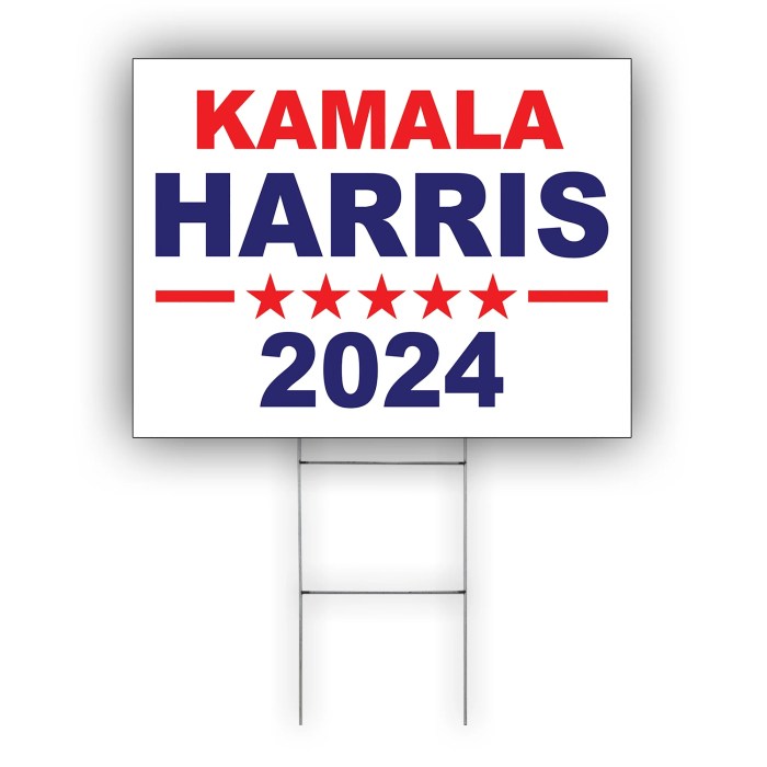 Kamala harriss tax plans 2024