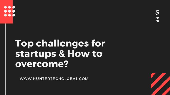 Challenges struggle startups arche endless