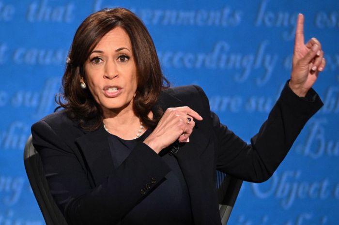 Kamala harriss tax plans 2024