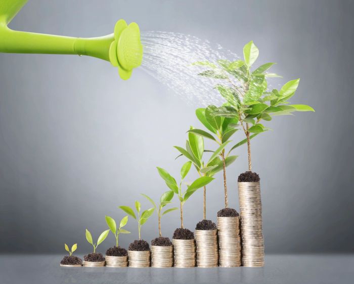 Self directed ira grow your investments like yale